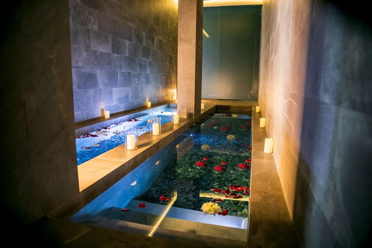 imageye___-_small-IMG_5211